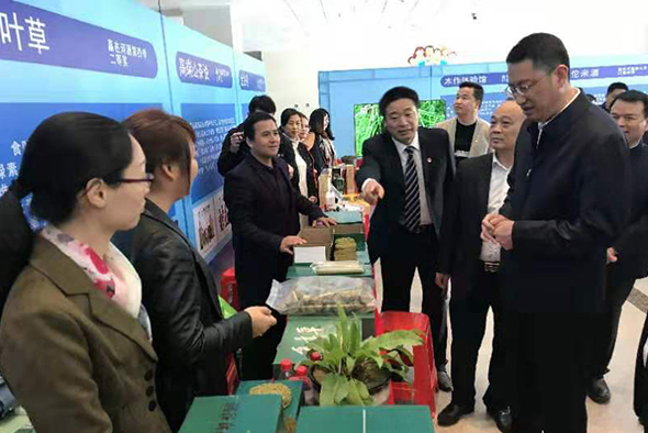 恭喜我們的食葉草項目榮獲《贏在河源》亞軍